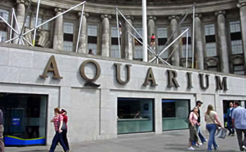 Image of the London Aquarium